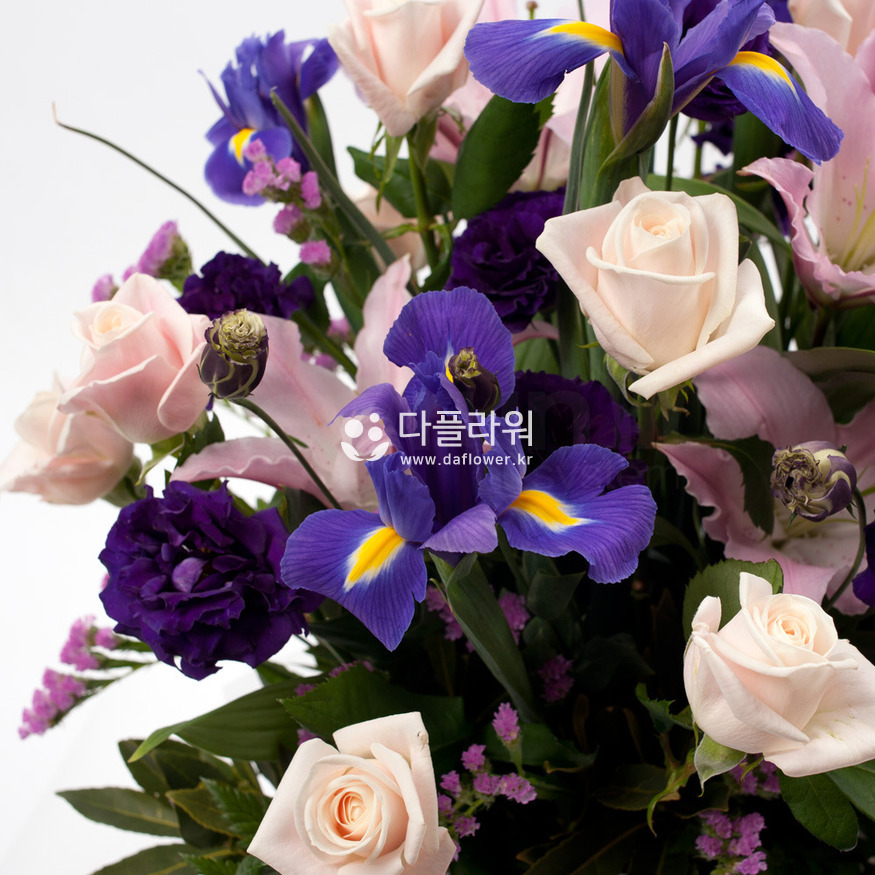 상세이미지